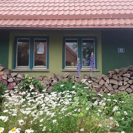 Zielony Domek W Sztynorcie Sztynort Exterior foto